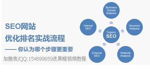 海瑶SEO培训班帮小白快速成长-