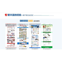庆云网站SEO_极速互联服务至上_网站SEO价格