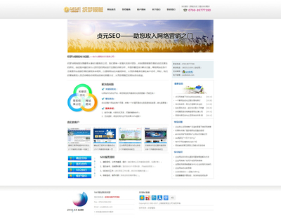 SEO服务公司网站织梦模板