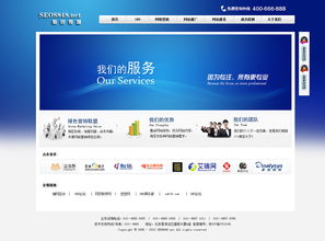 seo网络公司网站设计