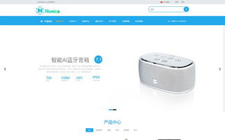 公司没有网站怎么做seo引流